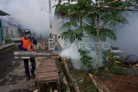 PENGASAPAN GUNA CEGAH WABAH DBD ANTARA Foto