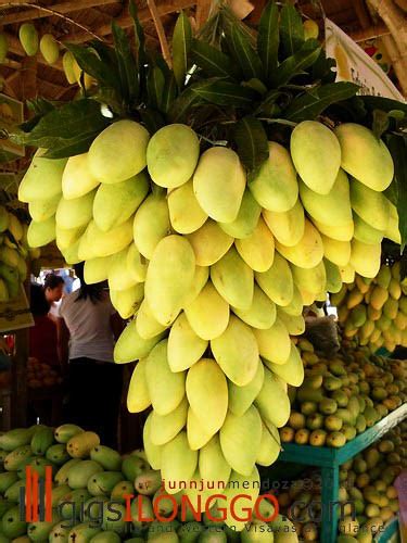 The Nature's Market: Philippine Mangoes (Guimaras Mangoes) - The ...