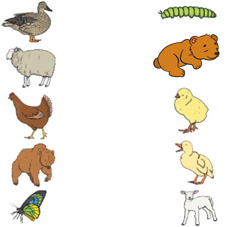 Free Printable Science Worksheets for Preschool - Animals 18 | Olympiad ...