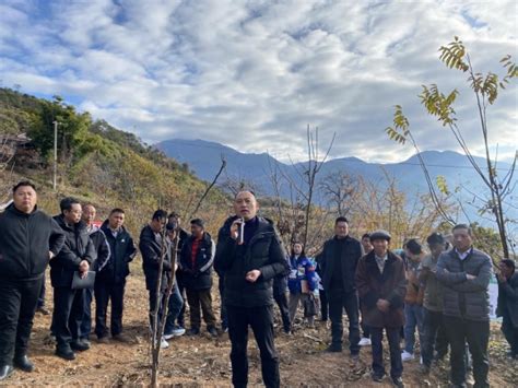 木里：开展魔芋种植技术培训 为群众蹚出一条致富路四川在线