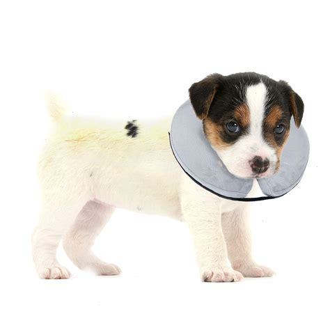 BENCMATE Collar inflable protector para perros y gatos recuperación