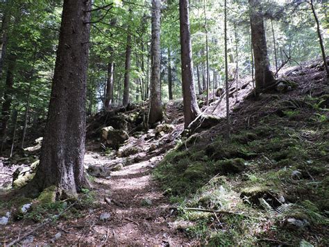 Monte Raitertal Zona Di Accampamento Dei Partigiani Nel Secondo