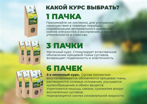 Купить травяной чай Сибирский сильник россыпью (Набор 6 шт) в «Алтайвита»