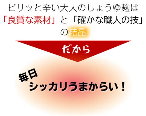 ピリッと辛い大人のしょうゆ麹 ピリ辛 醤油 酵素 浅利佐助 ＜ 麹屋もとみや オンラインショップ