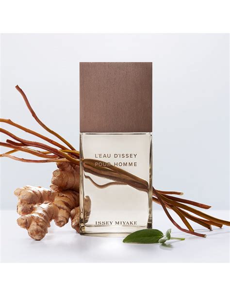 Issey Miyake L'eau D'Issey Pour Homme Eau & Vetiver De Toilette Intens ...