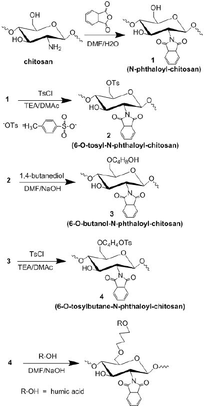 Schematic Representation Of Immobilization Of Download Scientific Diagram