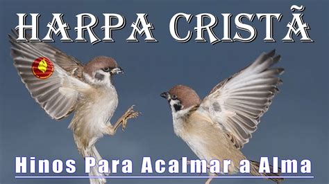 Hinos Antigos Legenda Hinos Para Acalmar A Alma Belos Louvores