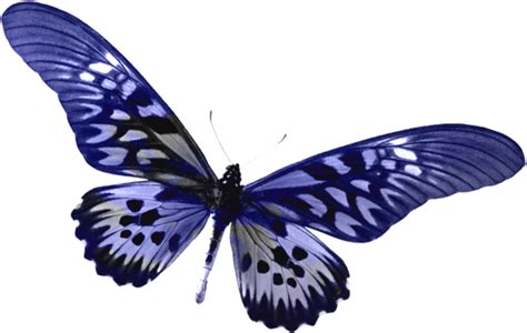 butterfly transparent Blue transparent butterfly clipart gallery ...