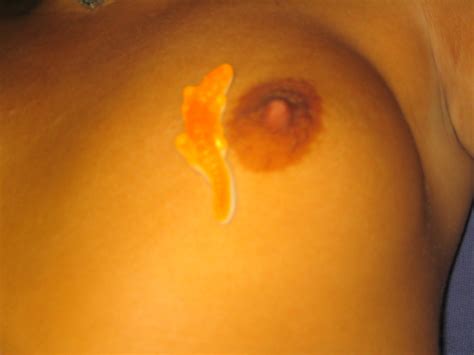 Hot And Sexy Porn Pic
