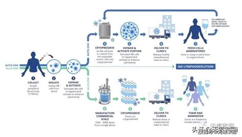 针对非小细胞肺癌！现货型nk细胞疗法突出重围，完成首例患者给药！治疗恶性肿瘤评估