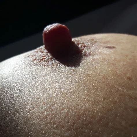 Ao Ehefotze Austrian Submissive Ass Porn XHamster