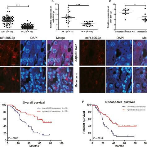 Low Expression Of MiR6053p Is Related To Poor Prognosis Of