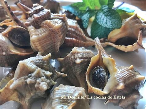 Búsanos o Cañaillas de Málaga Mi Dornillo La cocina de Estela