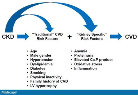 Risk Assessment And Management Of CVD With CKD The Role Of The