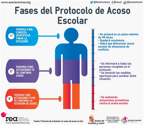 Fases del Protocolo de Acoso Escolar Asociación REA