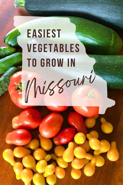 Gardening in Missouri: Easy Vegetables for Bountiful Harvests - Mama ...