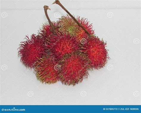 Red Rambutan A Local Malaysian Tropical Fruits Hairy External Later