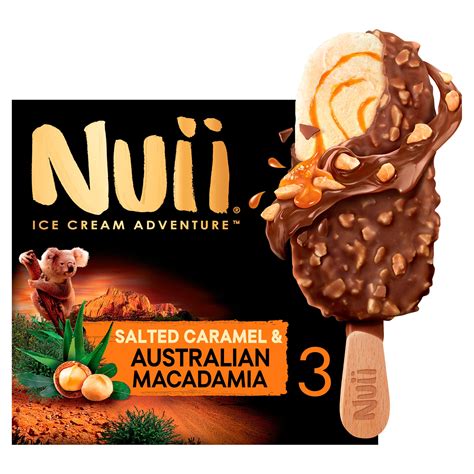 Nuii Salted Caramel And Australian Macadamia Ice Cream 3x90ml Ice Cream Cones Sticks And Bars