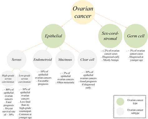 Frontiers Car T Cell Immunotherapy For Ovarian Cancer Hushing The