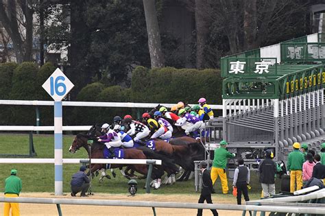 フェブラリーステークス2023 レース情報｜g1特集｜競馬予想・競馬情報ならjra Van