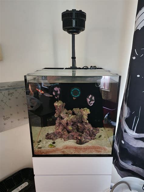 Complete SPS ready JBJ RF-25 for sale | REEF2REEF Saltwater and Reef ...