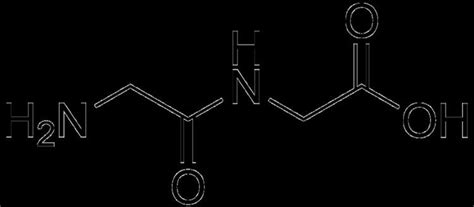 Dipeptide - Alchetron, The Free Social Encyclopedia