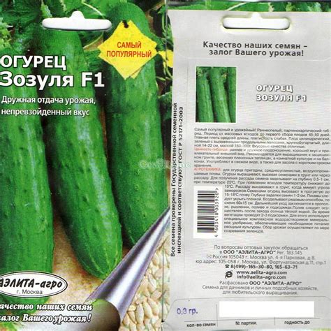 Зозуля огурцы: описание, выращивание, уход, фото