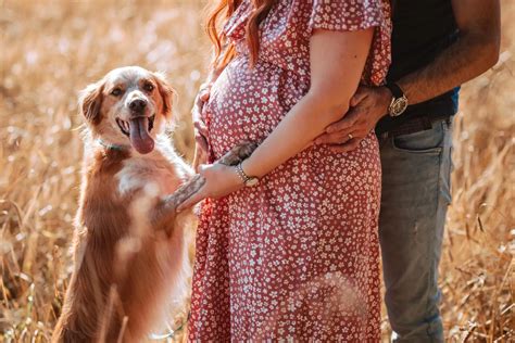 Preservar Tu Fertilidad Si Eres De Per Beneficios De La Congelaci N