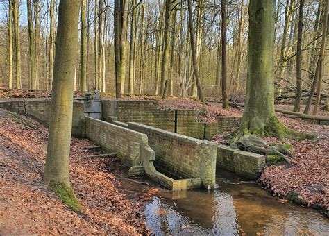 De Havenroute Wandelen In Het Waterloopbos In Flevoland