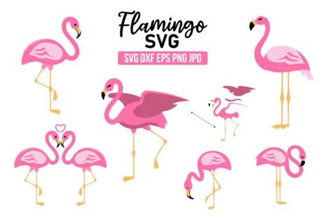 Flamingos Svg Bird Cut Svg Bundle Graphic By Design Crown Creative