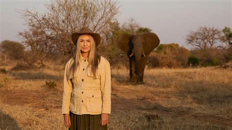 designer collette dinnigan returns  south africa  journey home book