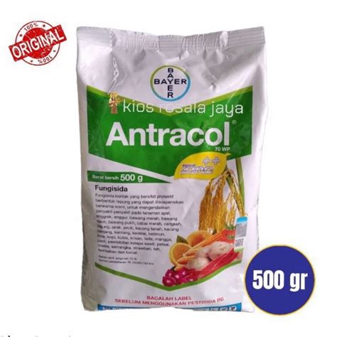 Fungisida Antracol Wp Gram Lazada Indonesia