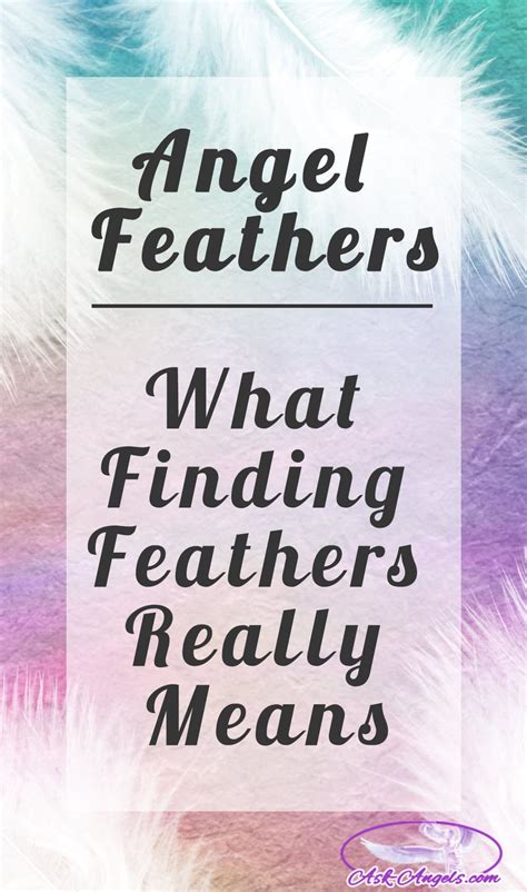 Learn Angel Feather Meanings – What Do White Feathers Mean?