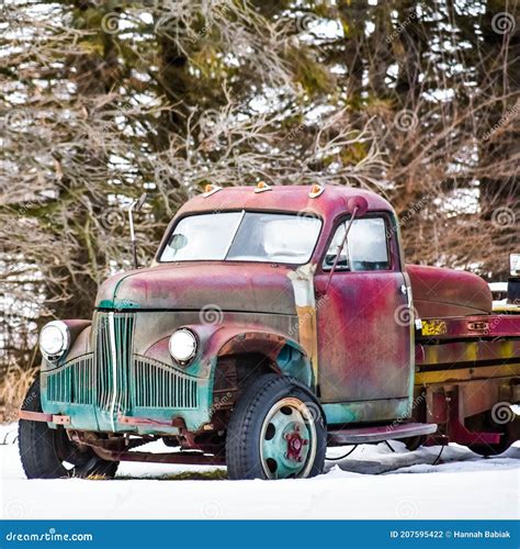 Old Fashioned Antique Trucks With Snow And Evergreens Stock Photo