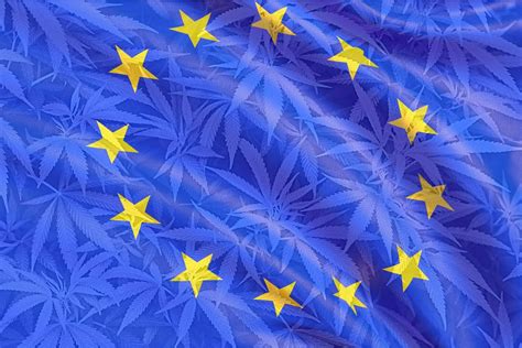 Europa 21 De Los 27 Países Miembros De La Ue Han Legalizado El