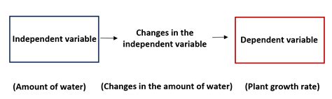 Independent vs. Dependent Variables: What's the Difference?