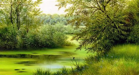 nature scenes wallpapers wallpaperscom