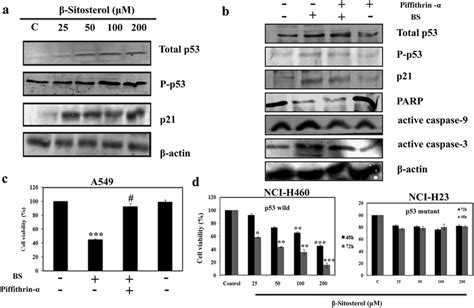 Excessive Ros Production Activates The P53 Dependent Pathway To Induce