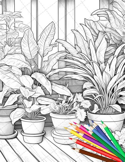 38 Indoor Houseplants Coloring Pages Printable For Adults Grayscale C