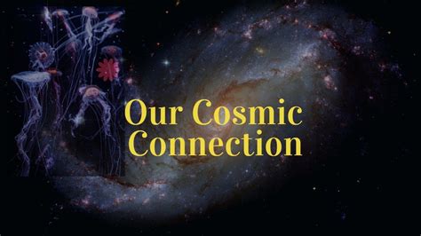 Our Cosmic Connection The Souls Journey Unraveling The Cosmic