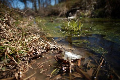 Court upholds Chesapeake Bay pollution diet