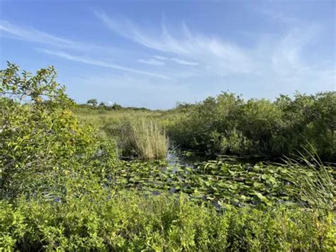 10 Best Hikes and Trails in Everglades National Park | AllTrails