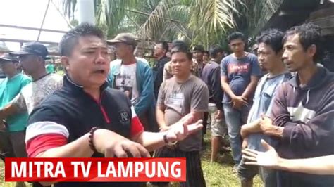 Terkait Sengketa Lahan HGU Warga Tidak Berbuat Kriminalitas YouTube