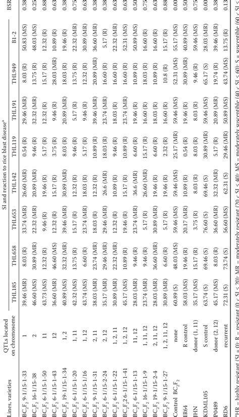 Severity Index SI And Broad Spectrum Resistance BSR Of NILs Of RD6