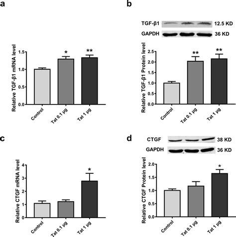 Tat upregulates TGF β1 and CTGF expression in mouse myocardium a