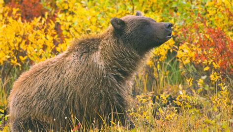 Discover the climate and geography of Yukon Territory