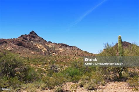 Pinkley Peak In Organ Pipe Cactus National Monument Stock Photo