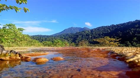 Taman Nasional ♦ Bogani Nani Wartabone