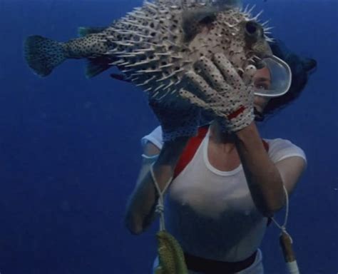 Celebrity Nude Century Jacqueline Bisset