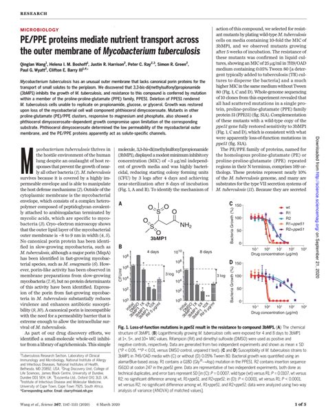 PDF PE PPE Proteins Mediate Nutrient Transport Across The Outer